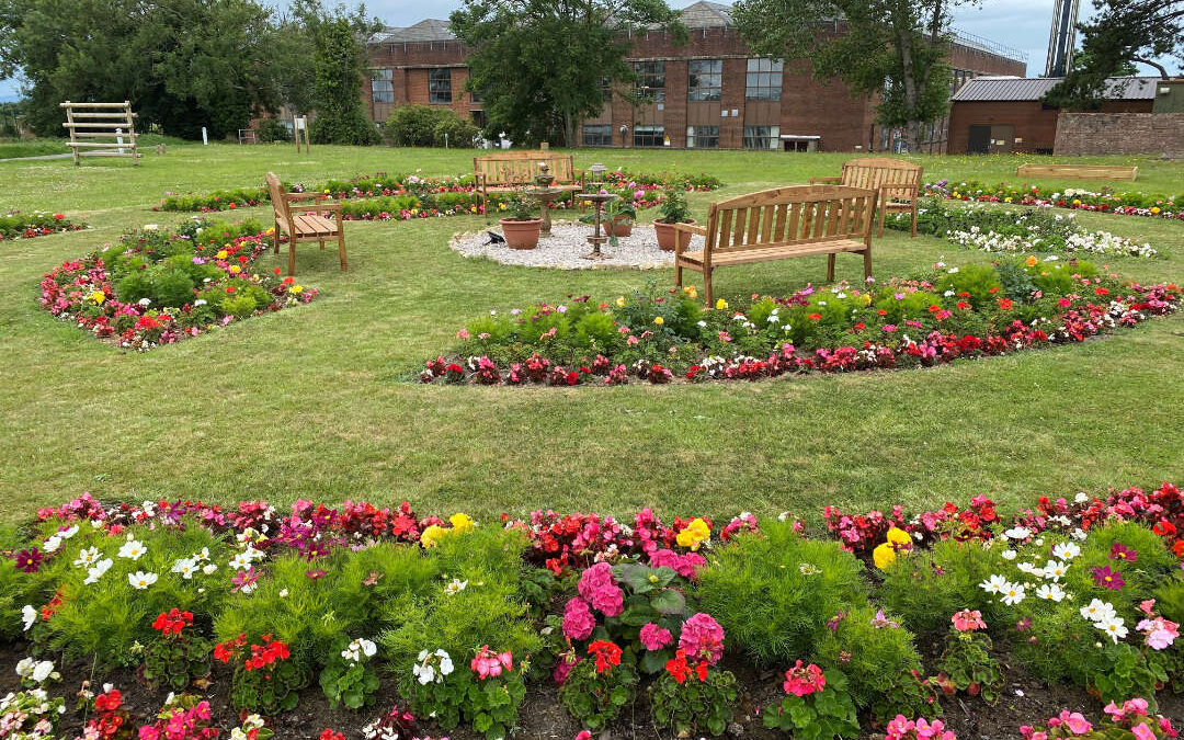 Mental health and community garden in Wales