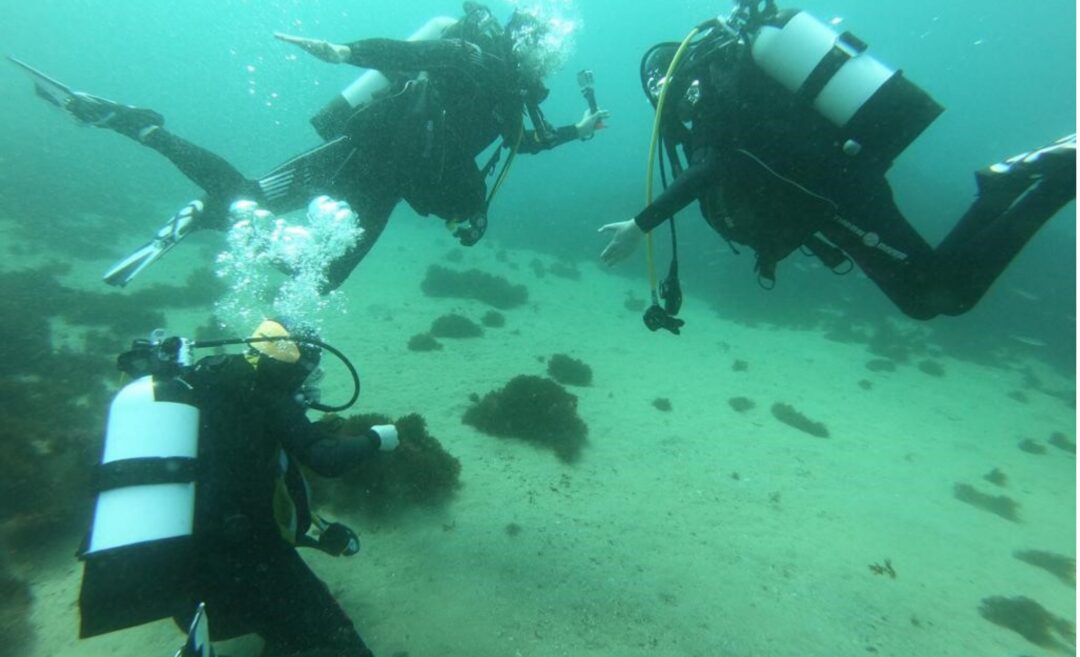 NAAFI Fund - diving equipment