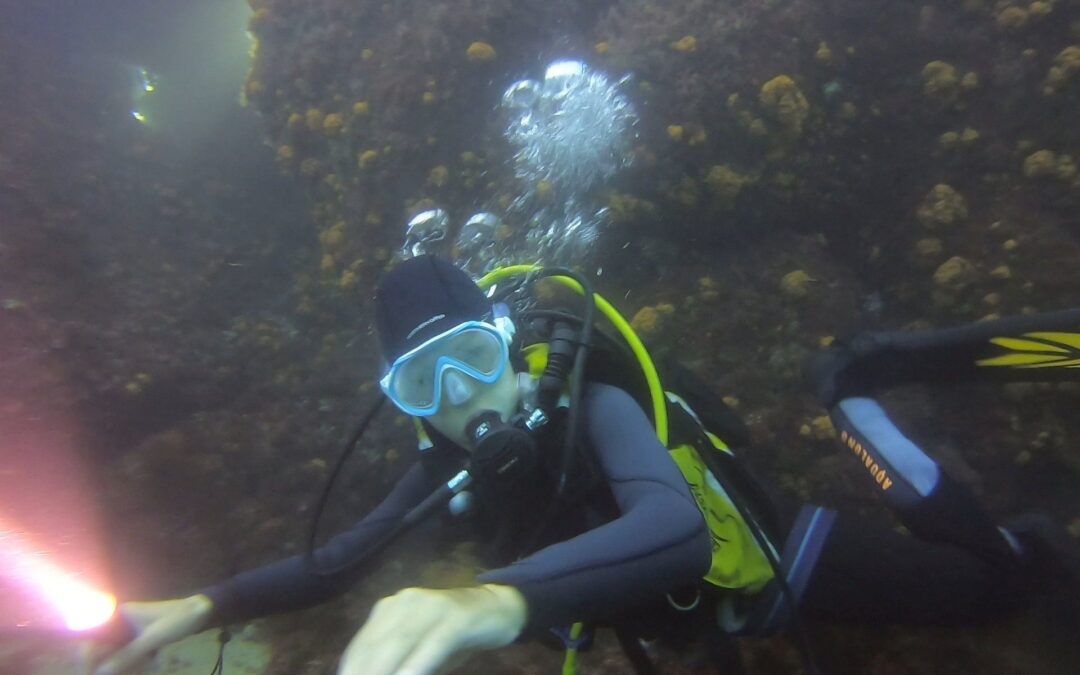 NAAFI Fund Makes a Splash for 317 Joint Services Sub-Aqua Diving Club in Gibraltar!