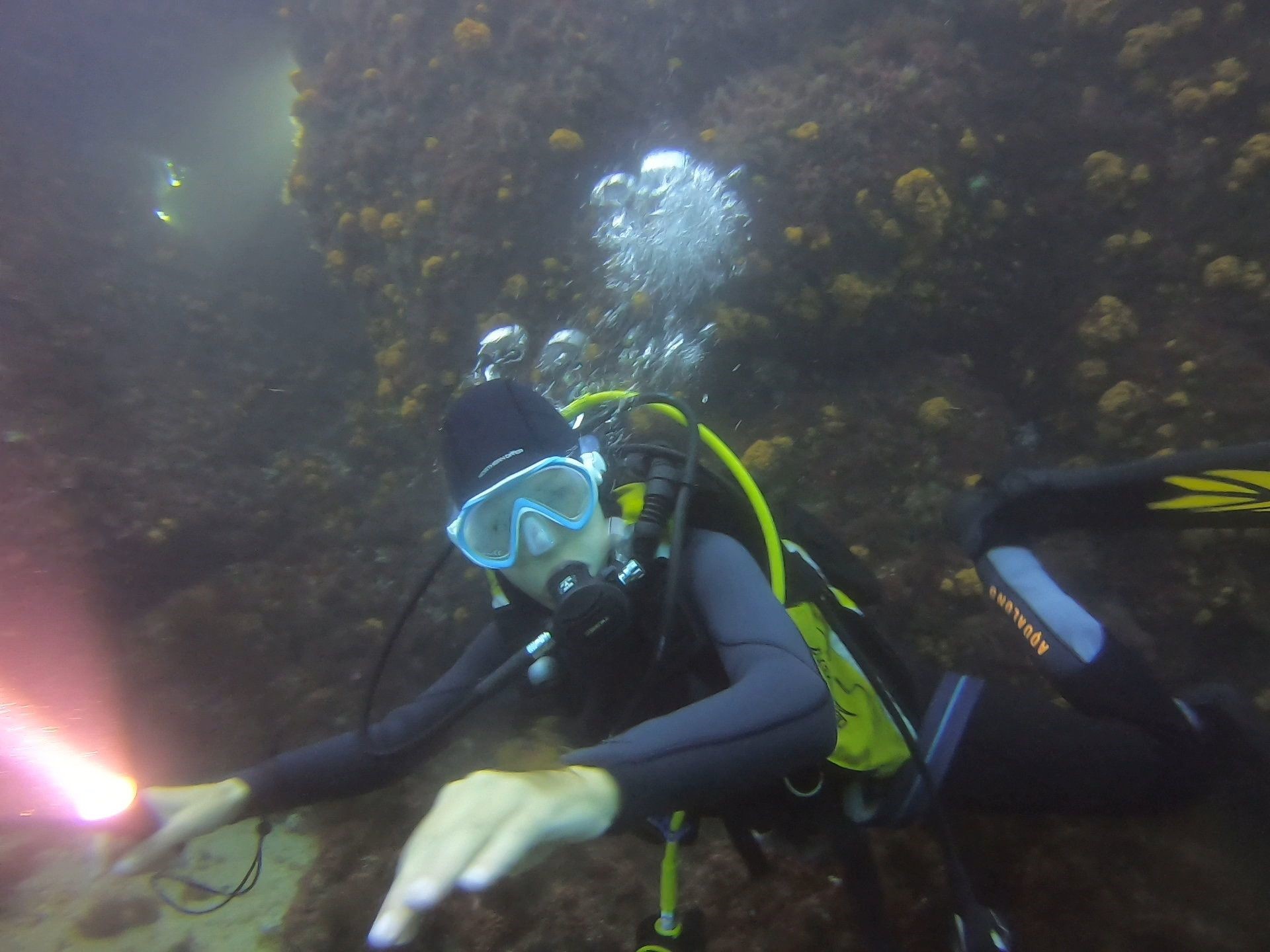 NAAFI Fund Makes a Splash for 317 Joint Services Sub-Aqua Diving Club in Gibraltar!